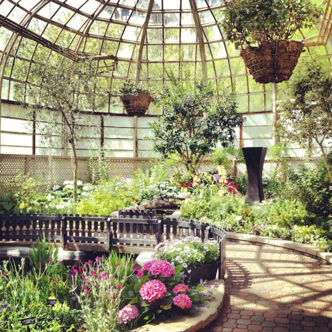 Chicago Conservatory