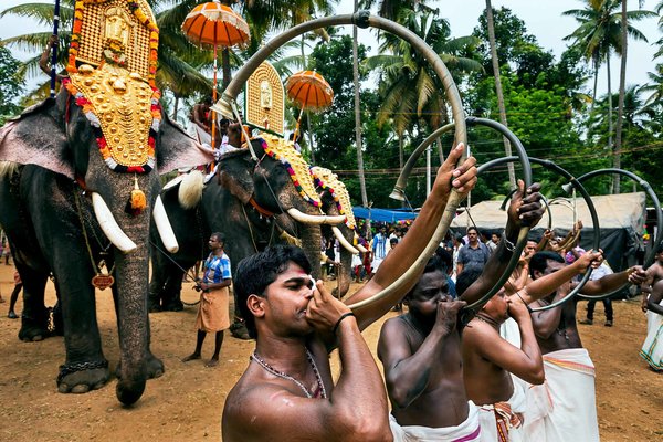 Celebrity elephants at a festival in India.